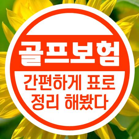 몇 가지 종류의 골프홀인원보험 표로 정리해 보았다.