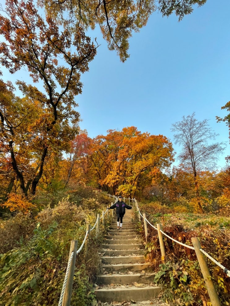 청계산 등산하기 : 단풍구경은 모름지기 등산이 최고지..! (주차장/화장실/매봉/정상 최단거리 코스)