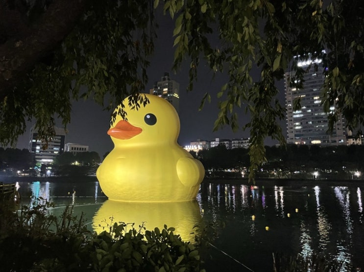  홍길동 노잰 일상 챌린지