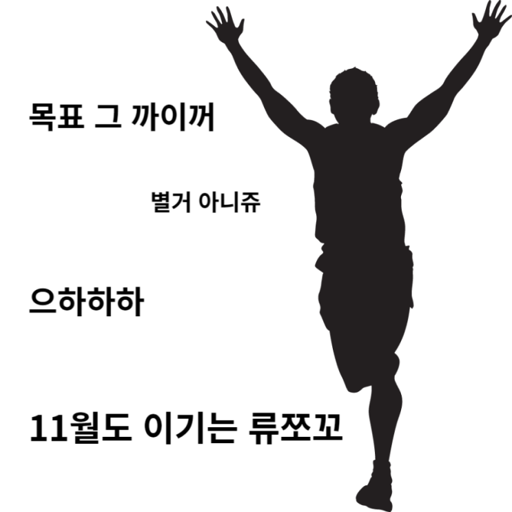 류쪼꼬의 11월 목표