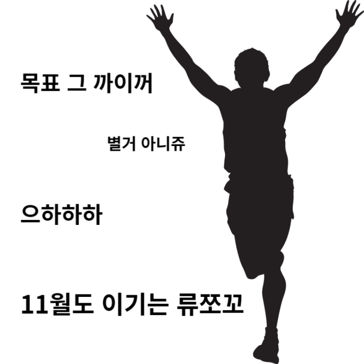 류쪼꼬의 11월 목표