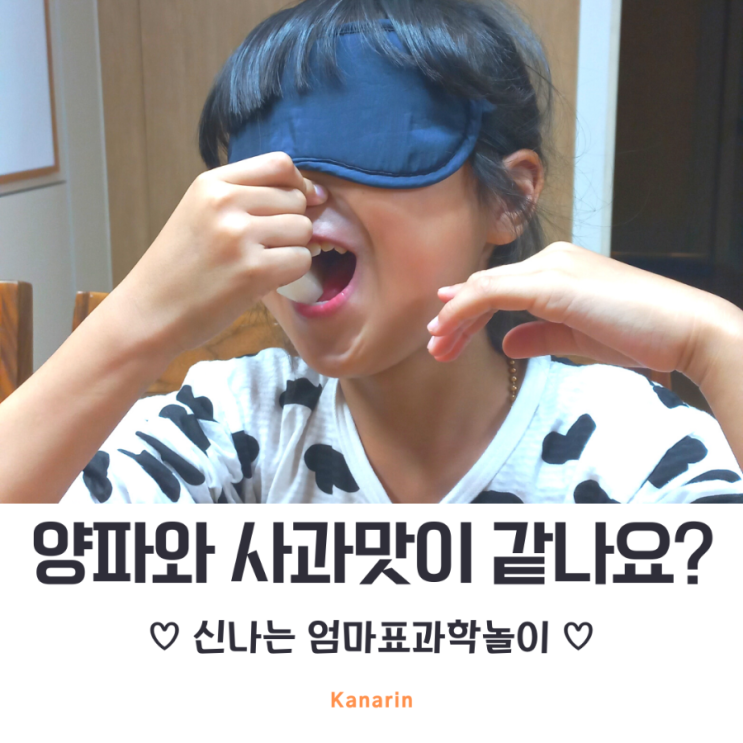  엄마표 과학실험 양파와 사과 맛이 같나요?