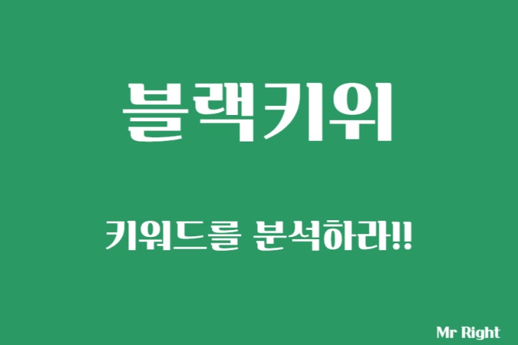  블랙키위, 유용한 키워드 분석 사이트 추천 및 활용법