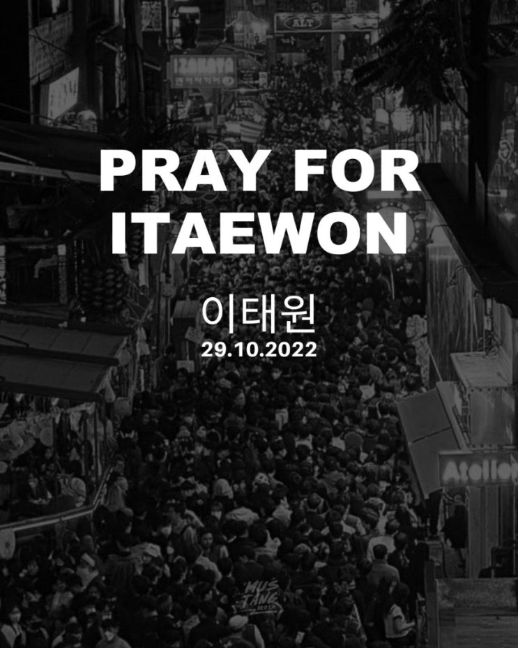  이태원 압사 참사 심폐소생술에 대한 일본인 반응과 사실