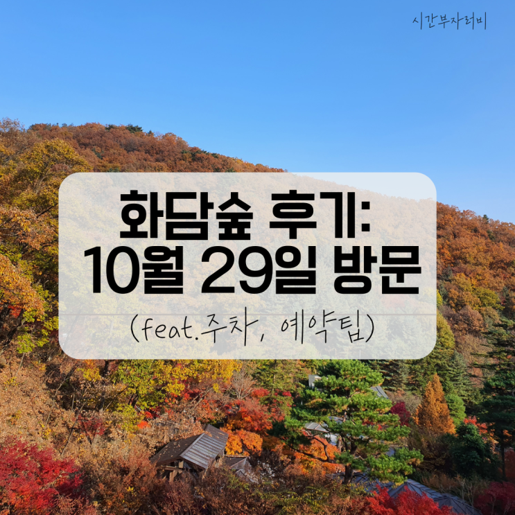 화담숲, 가을 단풍 구경한 후기(예약, 주차 팁 포함)_22년 10월 29일 방문