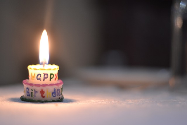 오늘하루일상-생일 오늘하루일상-생일