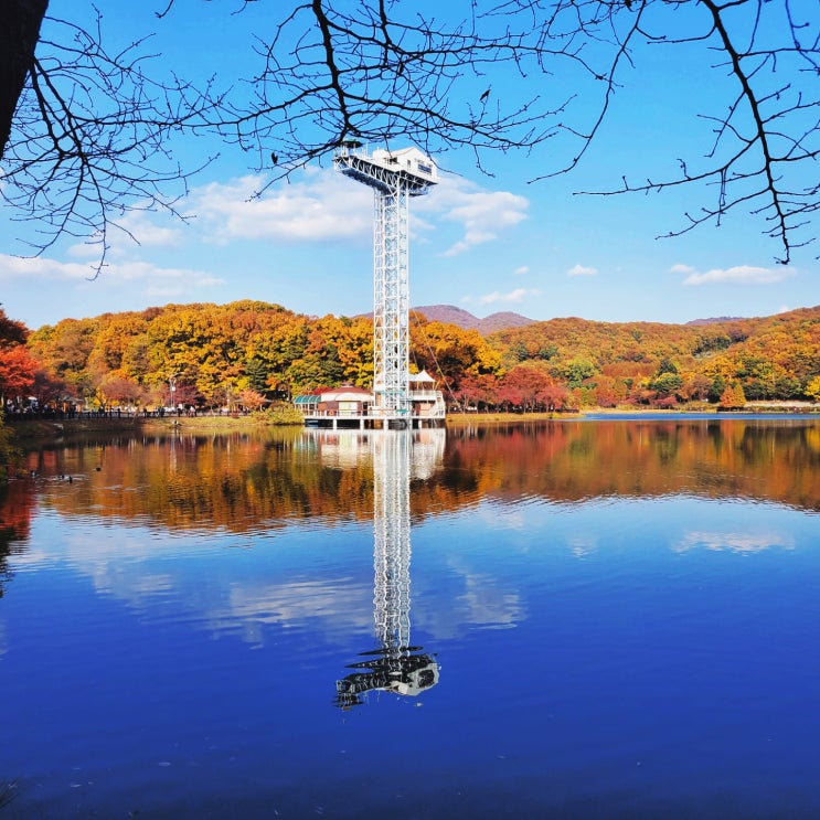 분당 율동공원, 도시락+돗자리챙겨 가족나들이겸 가을단풍구경 당일치기코스로 제격 분당 율동공원, 도시락+돗자리챙겨 가족나들이겸 가을단풍구경 당일치기코스로 제격