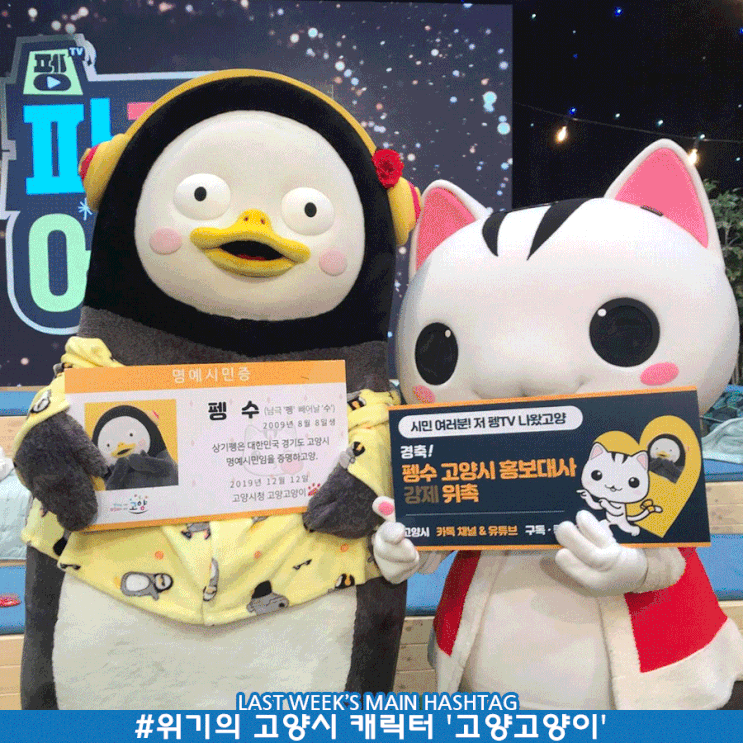 11월 1주차 두런 캐릭터 뉴스레터-10살 맞은 고양시 캐릭터 '고양고양이'의 위기 外 11월 1주차 두런 캐릭터 뉴스레터-10살 맞은 고양시 캐릭터 '고양고양이'의 위기 外