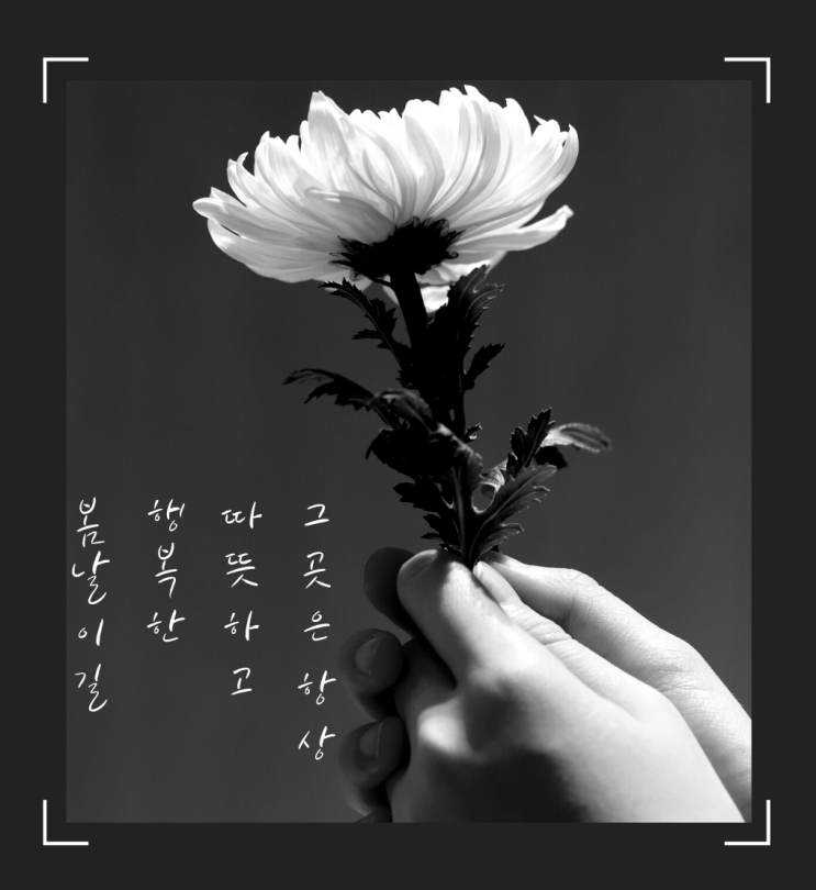  이태원참사에 깊은 애도를 표합니다 / 달링하이울산점