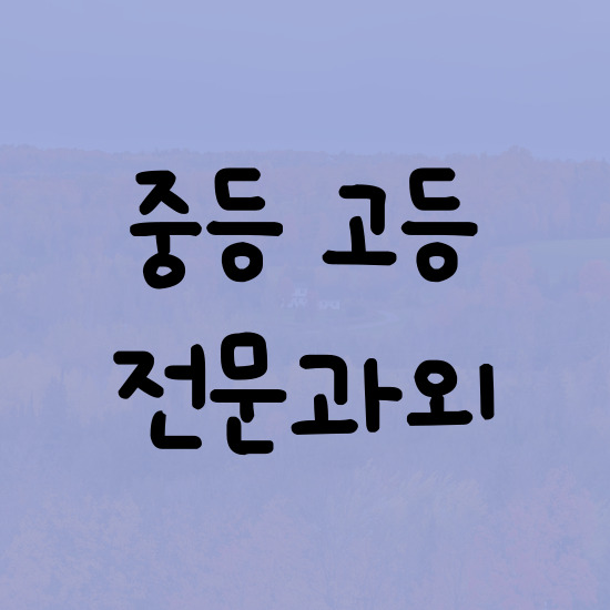  노대동 중학생 영어과외 광주 효천 1 2 지구 고등 수학과외 검정고시