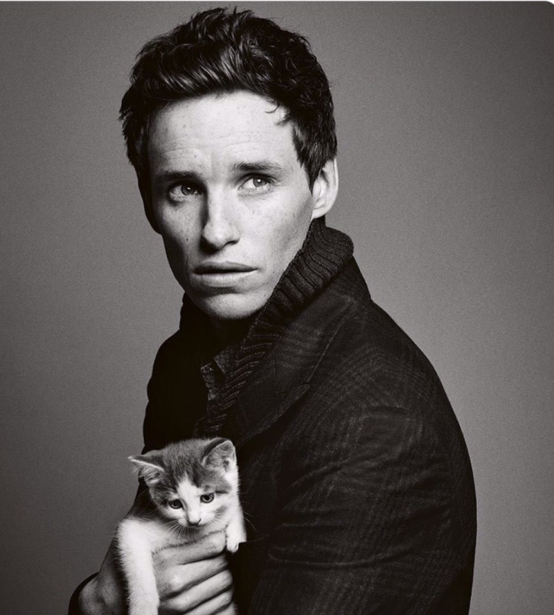 배우 에디 레드메인 Eddie Redmayne 필모 깨기