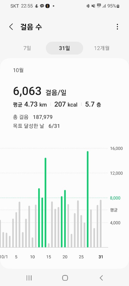  운동 일지