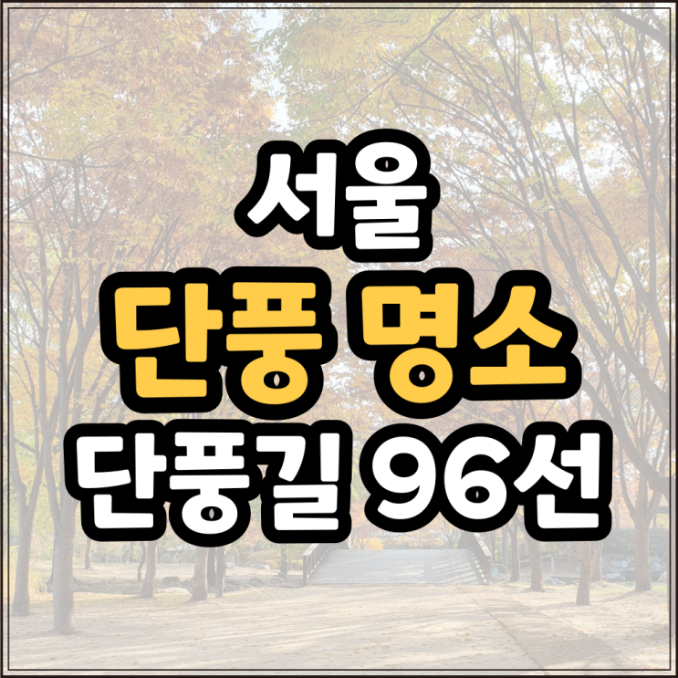 가을 나들이 서울 단풍 명소 여행지 위치 서울 단풍길 96선