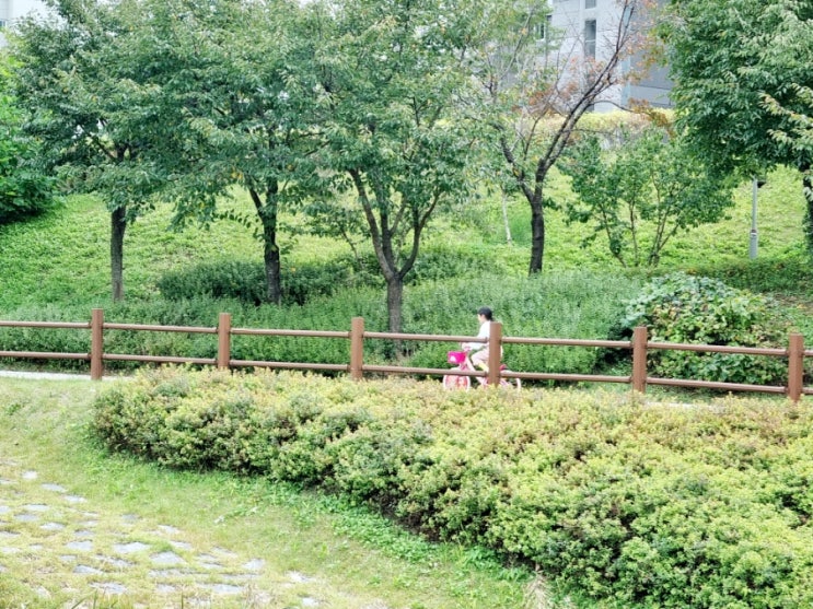  육아휴직 2년차, 1년 동안 난 뭘 했지? - 퇴직할 궁리만 했나???