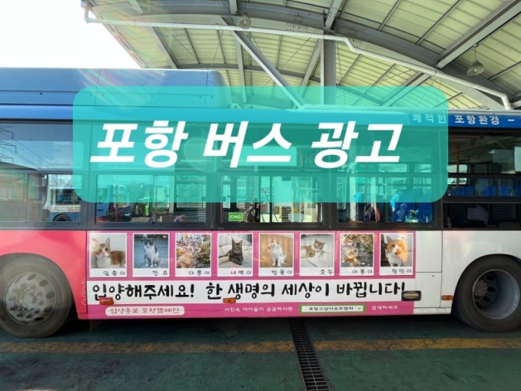  이미지 상승 포항 버스광고 홍보
