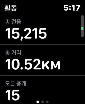 10km 걷기