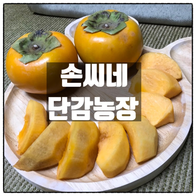 손씨네 단감 농장 진영단감 맛 리뷰 손씨네 단감 농장 진영단감 맛 리뷰