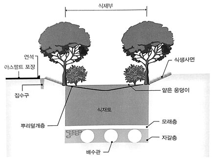 수질관리기술사 105회 1교시 기출문제 10. 식생체류지(Bioretention)