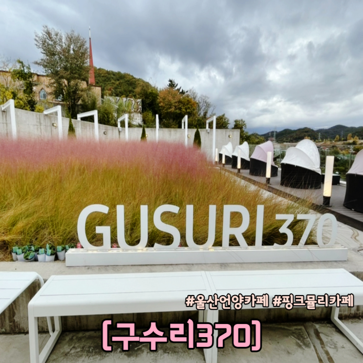  울산 울주군 언양 카페 핑크뮬리 태화강뷰가 너무 이쁜 카페 구수리370