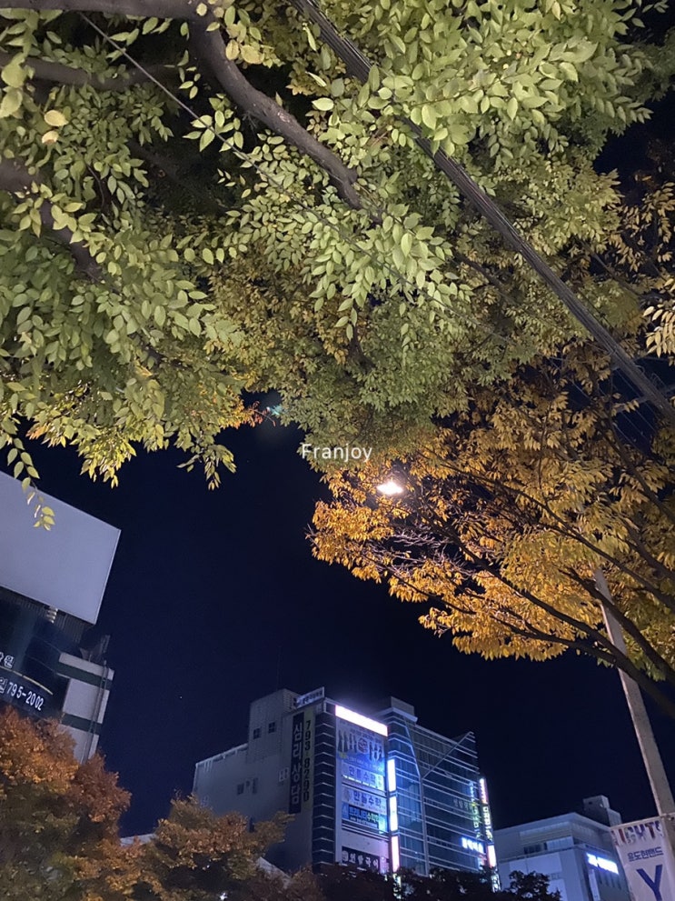  나만의 계절