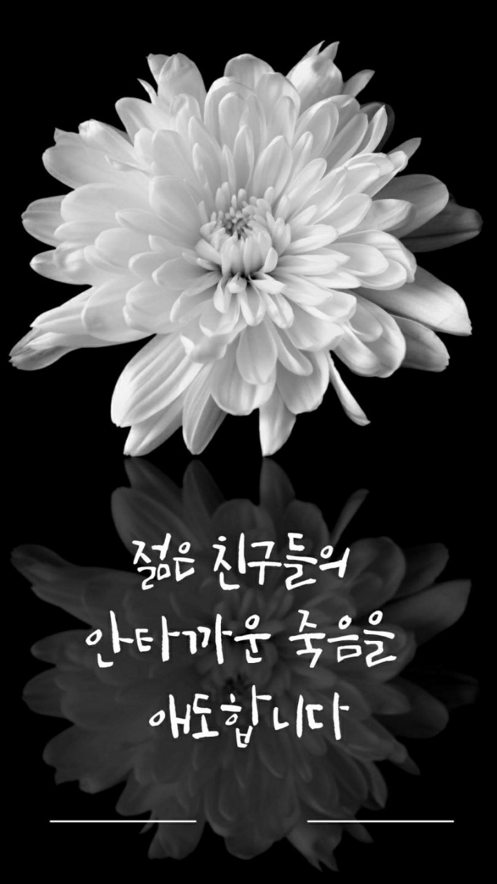  부거사이 [부동산 뉴스와 블로그] 10월 31일(월)