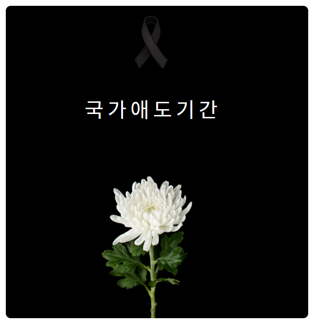 이태원 압사 사고.. 국가 애도 기간.. 모든 행사 취소 중.. 11월에 월드컵이 있는데 어떨까..