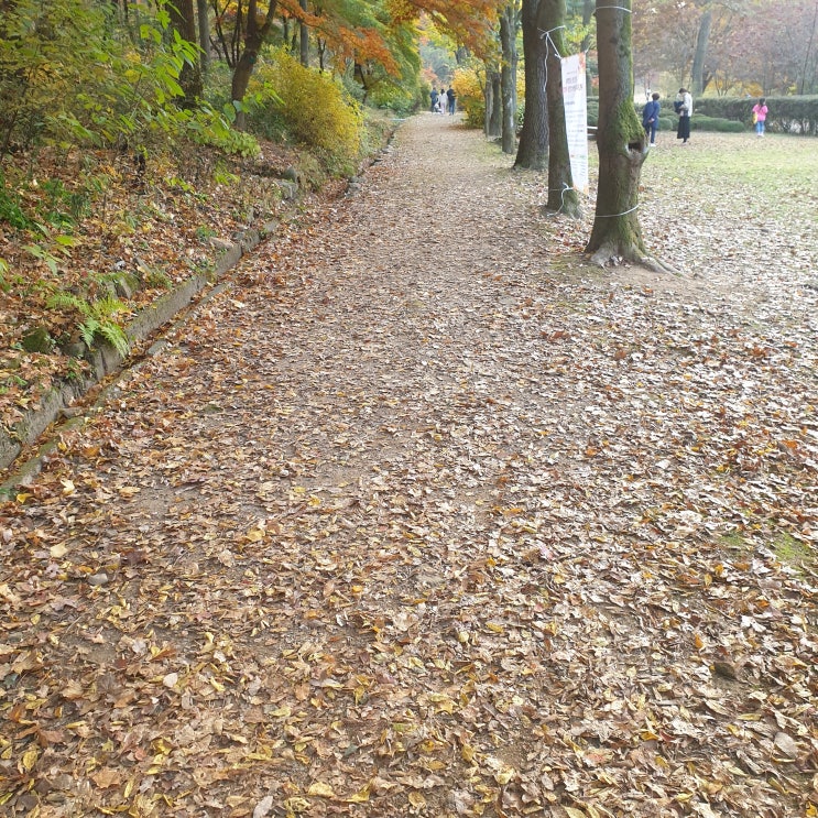 10.28~11.6 <b>서울대 관악수목원</b> 임시<b>개방</b>