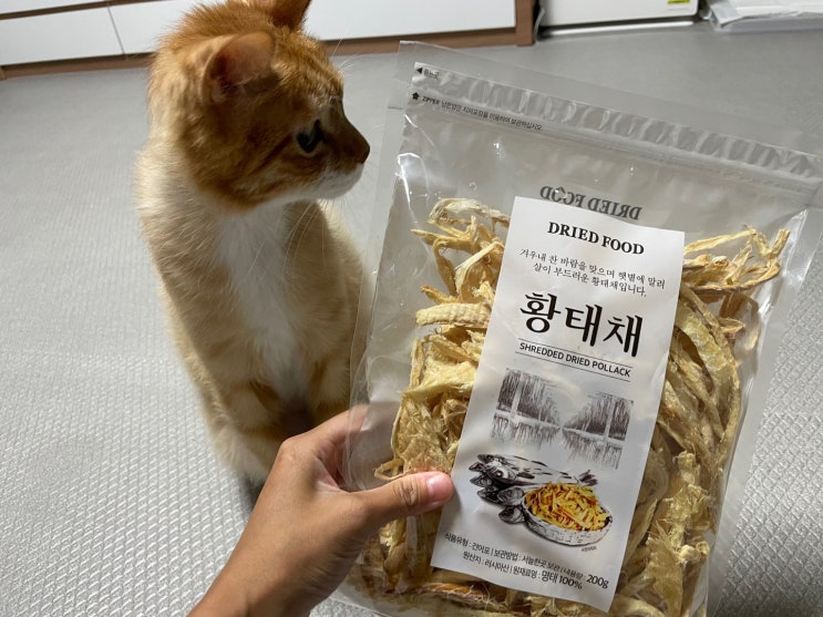  고양이 황태, 보양식으로 좋을까?