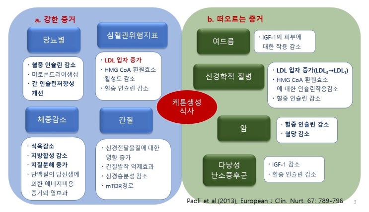  케톤생성식사(Ketogenic Diet) 효과에 대한 주장과 반론(Keton body, Ketosis)