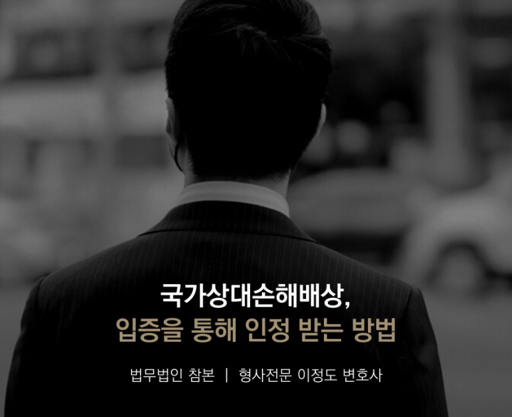 국가상대손해배상, 입증을 통해 인정 받는 방법