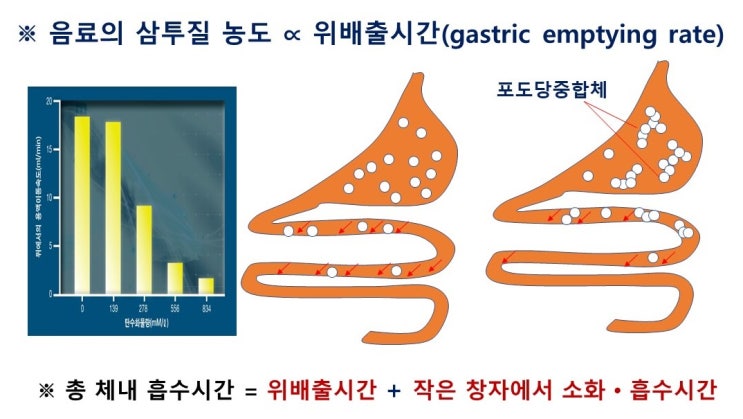  운동 시 수분보충(탄수화물용액)과 스포츠음료의 조건