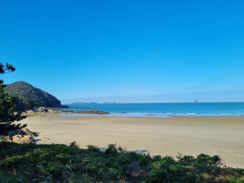[내돈내산] 충남 보령섬여행, 삽시도여행! 삽시도가는법! 삽시도 통나무펜션!! feat. 대천항 수산물축제
