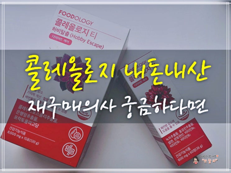  콜레올로지 내돈내산 한 달 후기 재구매의사 궁금하다면