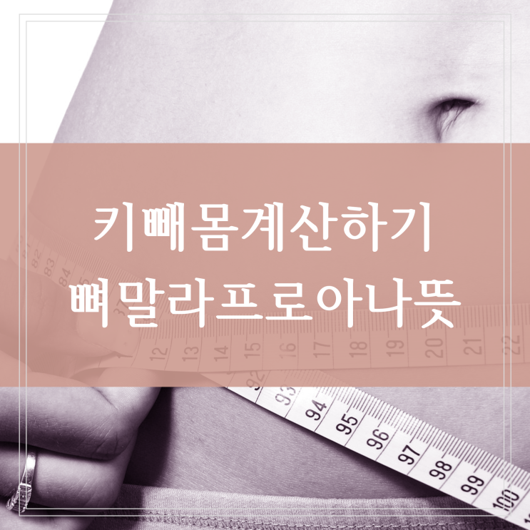 키빼몸 프로아나 뜻과 계산법 뼈말라까지 도달하려면? (100 105 110 115 120)