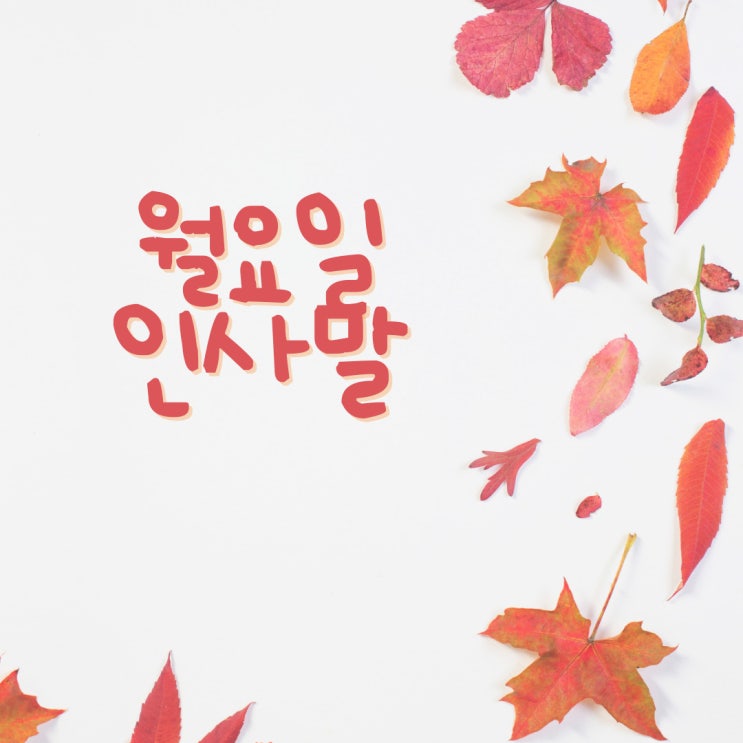  월요일 인사말, 11월 인사말, 인사말 문구 문자 메시지 모음
