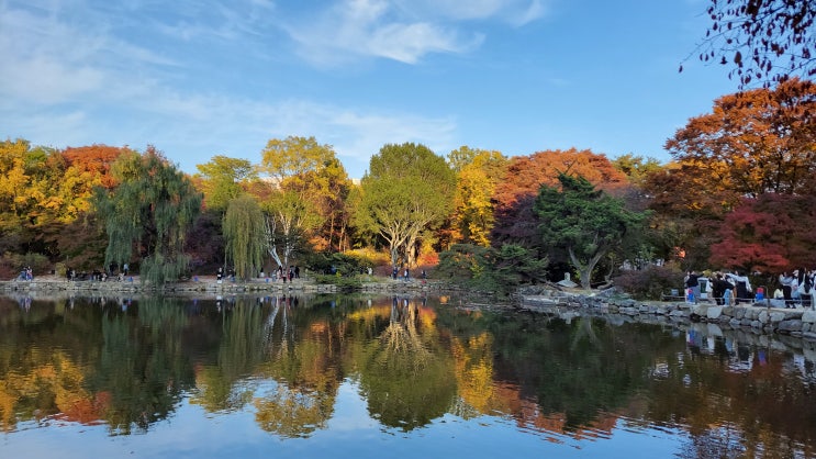 [서울 종로] 가을을 즐기다 - 문묘 은행나무와 창경궁 춘당지 단풍