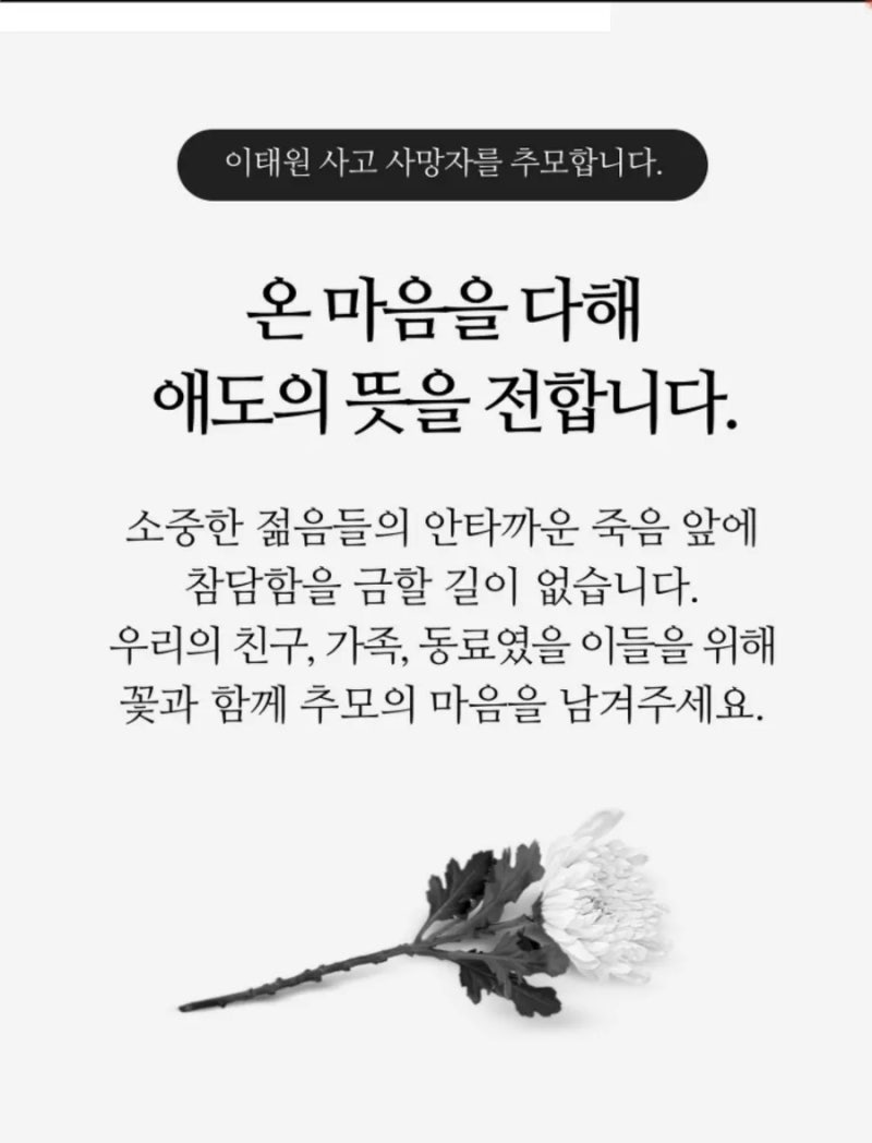11월16일 현재/이태원 참사사고 사망자 158분을 추모합니다(사망자명단) : 네이버 블로그