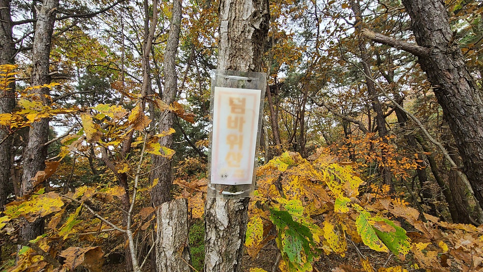 덤바위산 사진 5