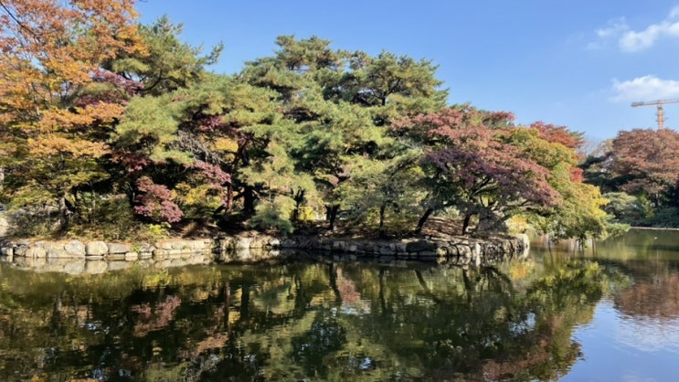  서울 / 창경궁 - 서울에서 즐기는 단풍 산책 코스 추천