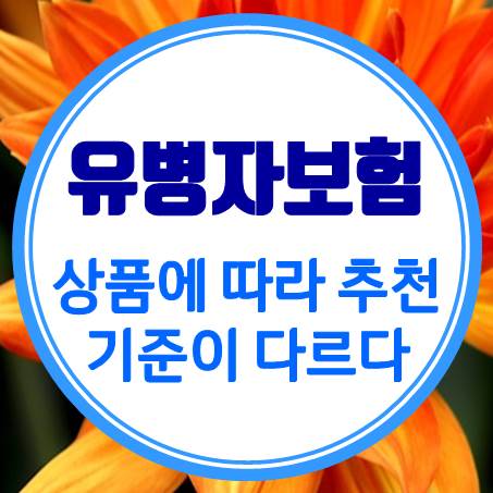  상품에 따라 유병자보험추천 기준이 다르다고?