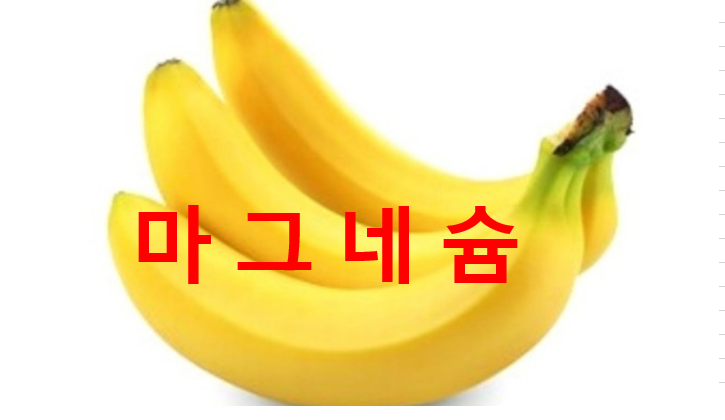  근육의 이완,수축 등 우리 몸의 대사에 관여하는 마그네슘의 효능,결핍 및 섭취