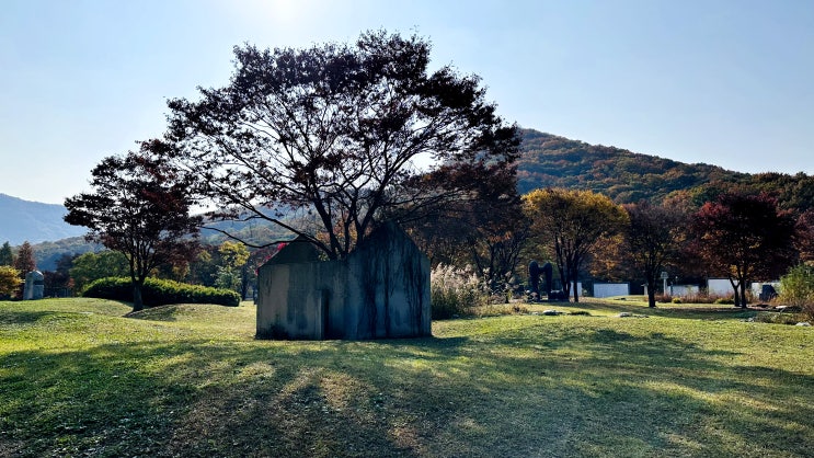  인천대공원 단풍 구경 서울 근교 가볼만한곳(지도, 주차요금, 텐트, 자전거대여): 인천/남동구
