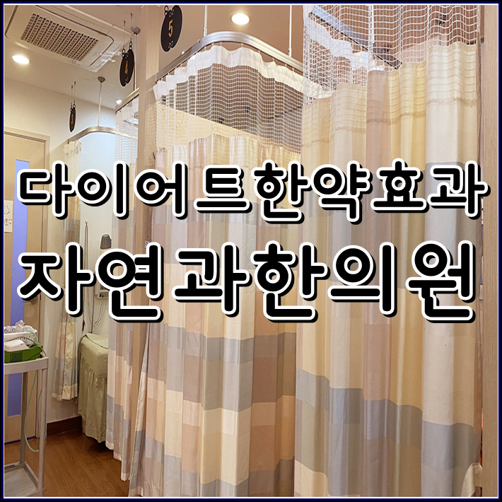 서면 다이어트 한의원의 과체중과 비만 관리를 더욱 쉽게! 5