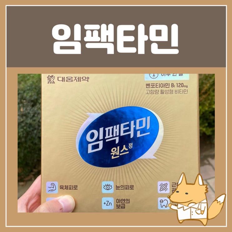  임팩타민 종류 원스 비타민B군 피로회복 영양제 대웅제약 임팩타민 원스정
