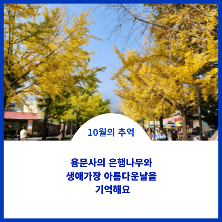  10월 용문사의 은행나무를 보러 가는 날