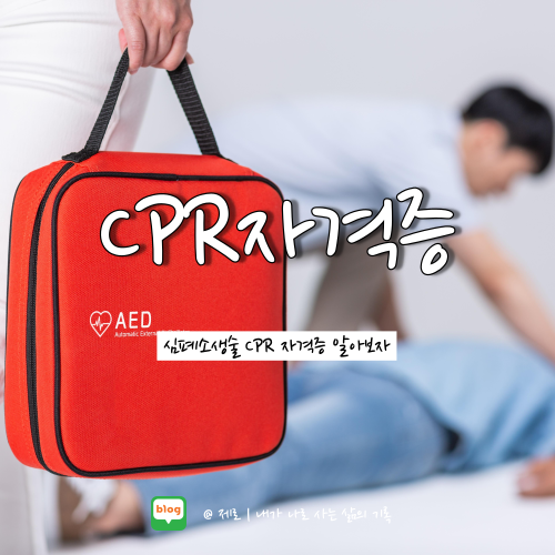  이태원 압사 사고 사망자 심정지 CPR 심폐소생술 자격증 종류 비용