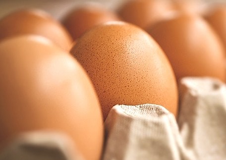 계란의 효능과 영양소 부작용 계란 칼로리 하루권장량 총정리