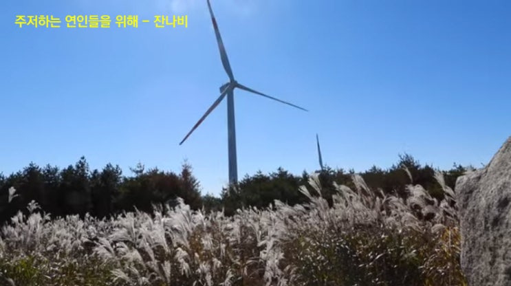 주저하는 연인들을 위해 - 잔나비 주저하는 연인들을 위해 - 잔나비