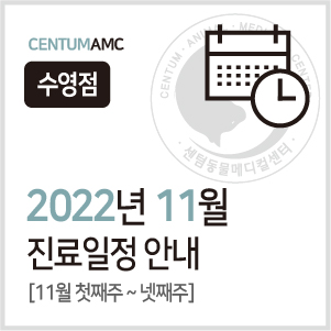 2022년 11월 수영점 진료일정 안내 (센텀동물메디컬센터) - 최종수정 1024