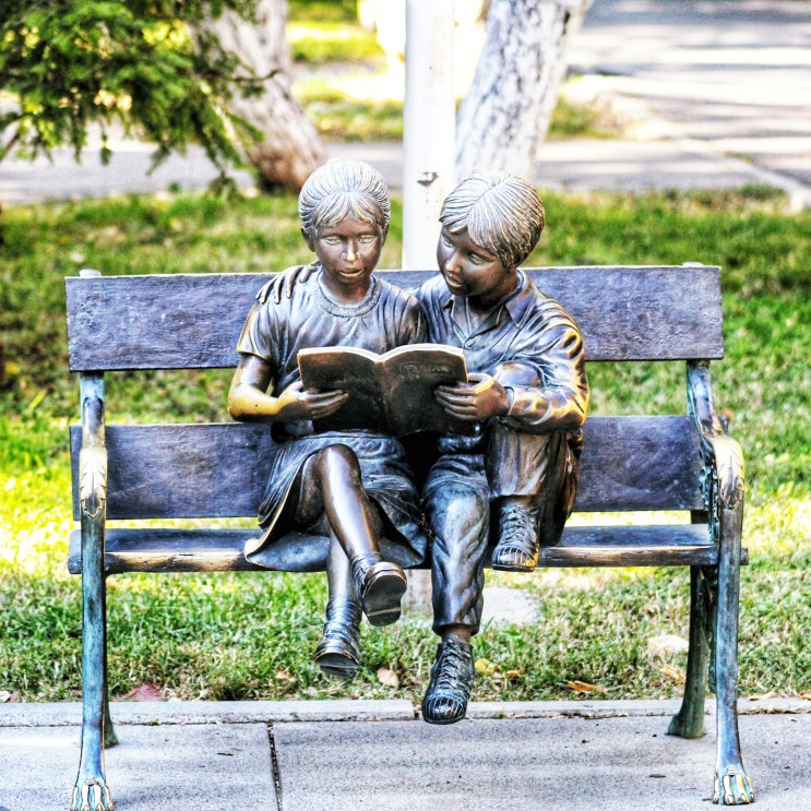 고등학교 종류 : 일반고 특목고 자사고 특성화고 영재고 자율학교 고등학교 종류 : 일반고 특목고 자사고 특성화고 영재고 자율학교
